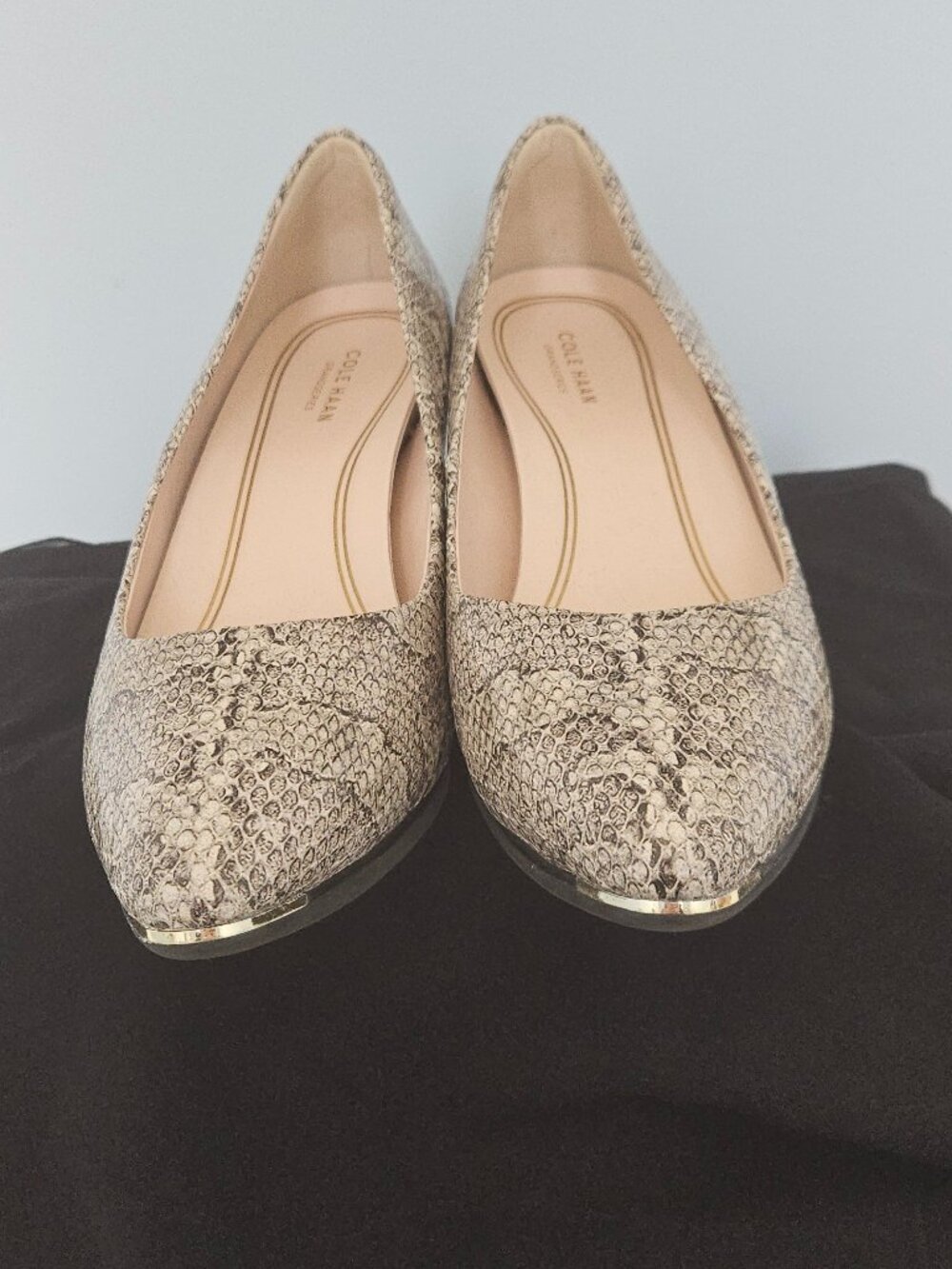 COLE HAAN, NWOT, GRAND AMBITION LEATHER PUMPS, SNAKE-PRINT, 8B